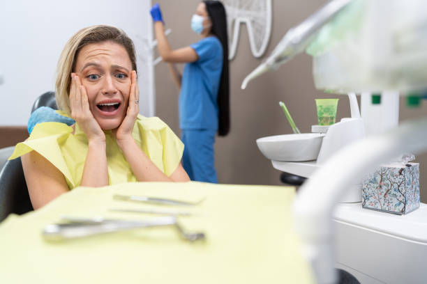 Best Broken or Chipped Tooth Repair in Mountain Lodge Park, NY
